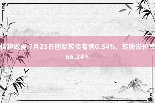 情趣做爱 7月23日团聚转债着落0.54%，转股溢价率66.24%