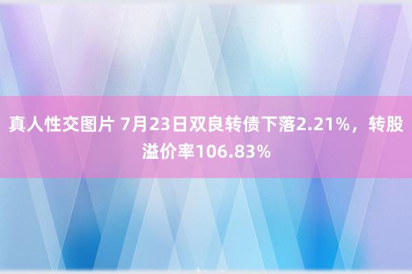 真人性交图片 7月23日双良转债下落2.21%，转股溢价率106.83%