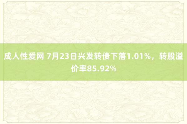 成人性爱网 7月23日兴发转债下落1.01%，转股溢价率85.92%