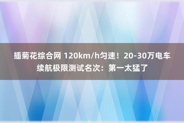 插菊花综合网 120km/h匀速！20-30万电车续航极限测试名次：第一太猛了