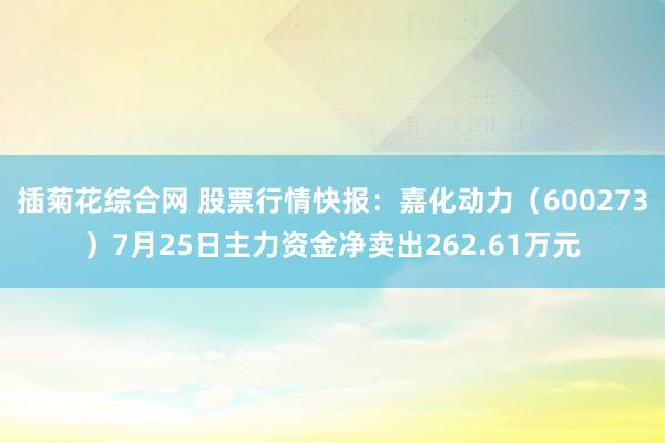 插菊花综合网 股票行情快报：嘉化动力（600273）7月25日主力资金净卖出262.61万元