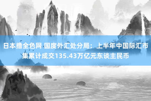 日本撸全色网 国度外汇处分局：上半年中国际汇市集累计成交135.43万亿元东谈主民币