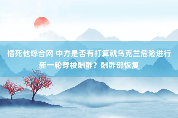 插死他综合网 中方是否有打算就乌克兰危险进行新一轮穿梭酬酢？酬酢部恢复