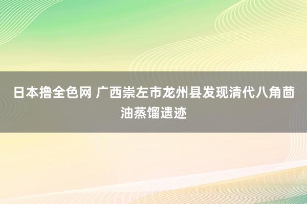 日本撸全色网 广西崇左市龙州县发现清代八角茴油蒸馏遗迹