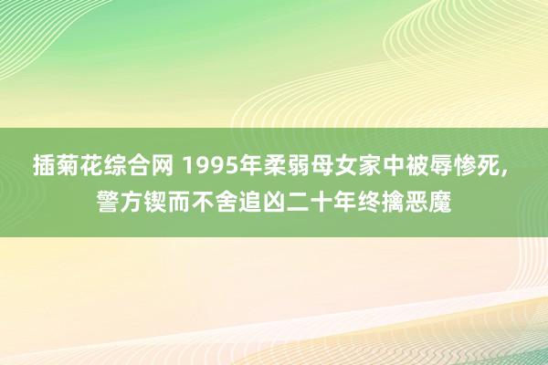 插菊花综合网 1995年柔弱母女家中被辱惨死， 警方锲而不舍追凶二十年终擒恶魔