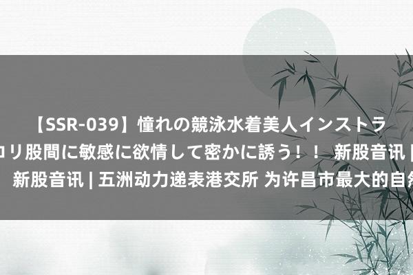 【SSR-039】憧れの競泳水着美人インストラクターは生徒のモッコリ股間に敏感に欲情して密かに誘う！！ 新股音讯 | 五洲动力递表港交所 为许昌市最大的自然气分销商