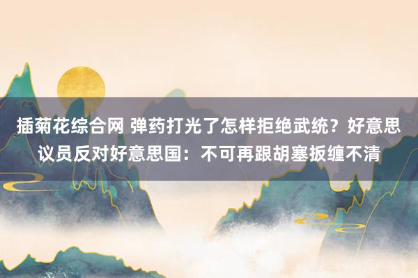 插菊花综合网 弹药打光了怎样拒绝武统？好意思议员反对好意思国：不可再跟胡塞扳缠不清