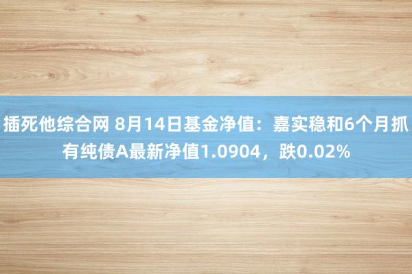 插死他综合网 8月14日基金净值：嘉实稳和6个月抓有纯债A最新净值1.0904，跌0.02%