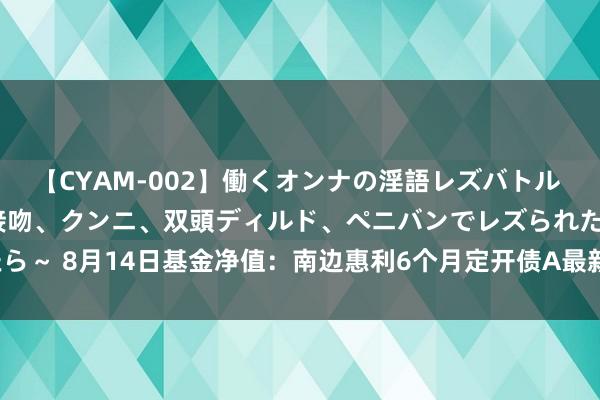 【CYAM-002】働くオンナの淫語レズバトル 2 ～もしも職場で濃厚接吻、クンニ、双頭ディルド、ペニバンでレズられたら～ 8月14日基金净值：南边惠利6个月定开债A最新净值1.2268，涨0.09%