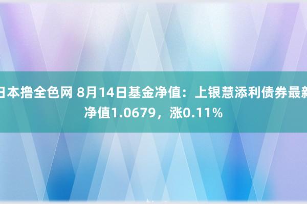 日本撸全色网 8月14日基金净值：上银慧添利债券最新净值1.0679，涨0.11%