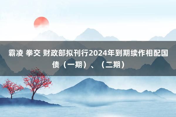 霸凌 拳交 财政部拟刊行2024年到期续作相配国债（一期）、（二期）