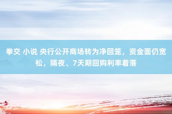 拳交 小说 央行公开商场转为净回笼，资金面仍宽松，隔夜、7天期回购利率着落