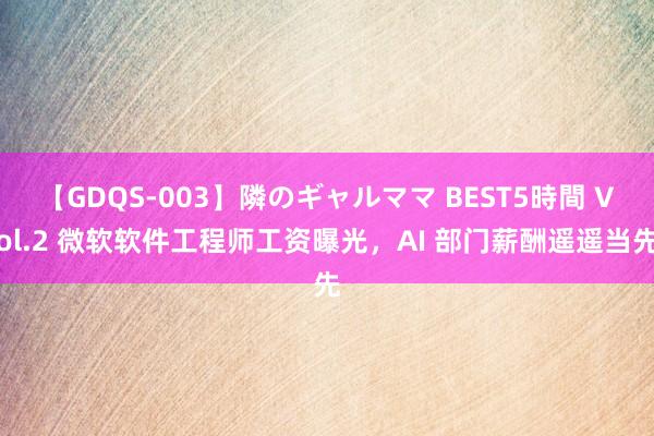 【GDQS-003】隣のギャルママ BEST5時間 Vol.2 微软软件工程师工资曝光，AI 部门薪酬遥遥当先