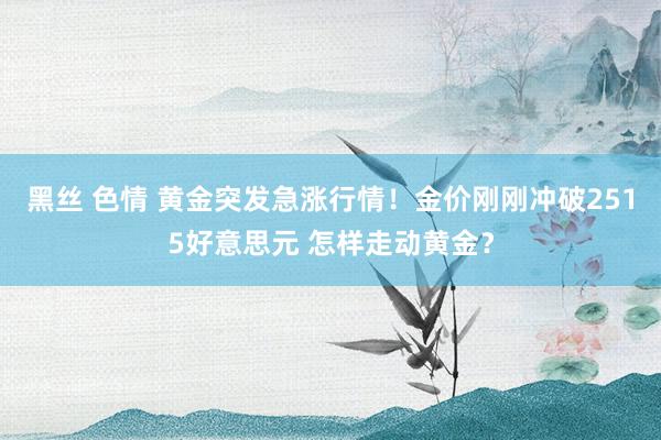 黑丝 色情 黄金突发急涨行情！金价刚刚冲破2515好意思元 怎样走动黄金？