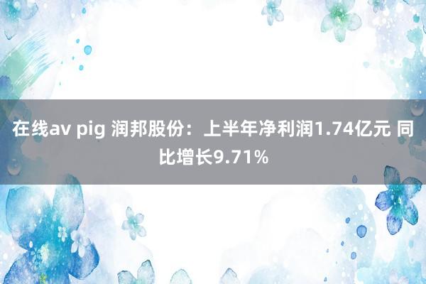 在线av pig 润邦股份：上半年净利润1.74亿元 同比增长9.71%