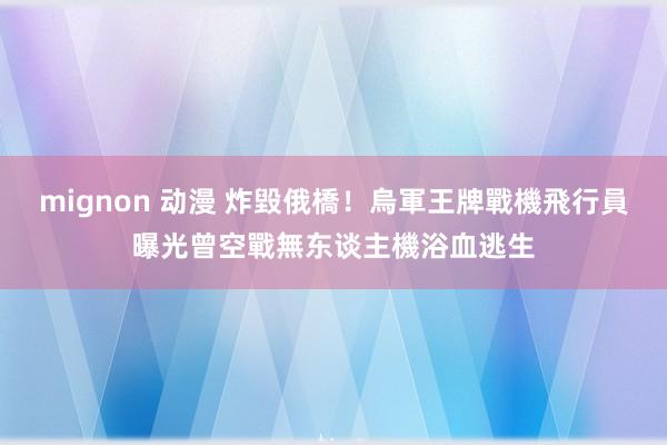 mignon 动漫 炸毀俄橋！烏軍王牌戰機飛行員曝光　曾空戰無东谈主機浴血逃生