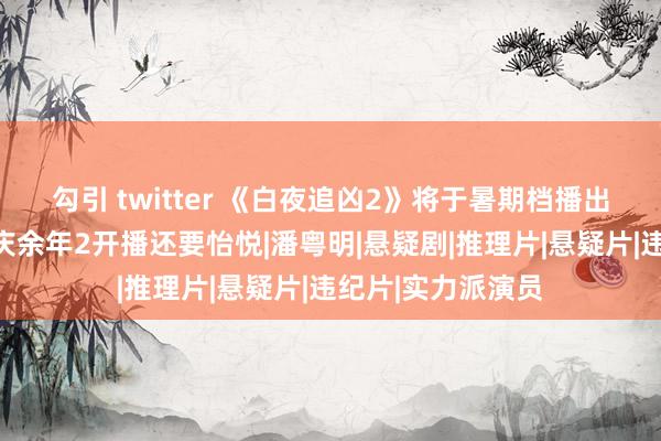 勾引 twitter 《白夜追凶2》将于暑期档播出？网友：比知谈庆余年2开播还要怡悦|潘粤明|悬疑剧|推理片|悬疑片|违纪片|实力派演员