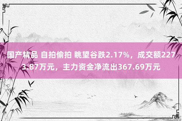 国产精品 自拍偷拍 眺望谷跌2.17%，成交额2273.87万元，主力资金净流出367.69万元