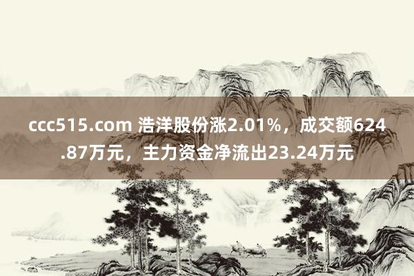 ccc515.com 浩洋股份涨2.01%，成交额624.87万元，主力资金净流出23.24万元