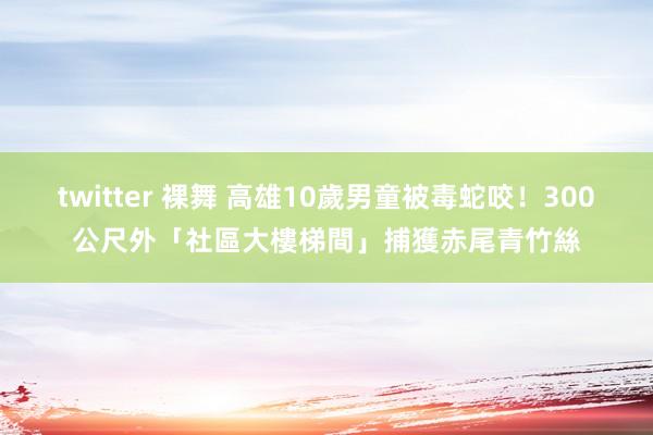 twitter 裸舞 高雄10歲男童被毒蛇咬！300公尺外「社區大樓梯間」捕獲赤尾青竹絲