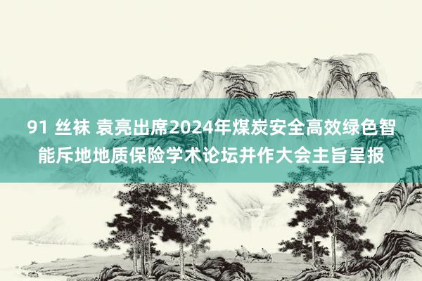 91 丝袜 袁亮出席2024年煤炭安全高效绿色智能斥地地质保险学术论坛并作大会主旨呈报